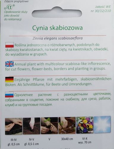 Zinnia Scabiosa Seeds
